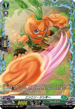 画像1: 【FR】ニンニン・ジンギー