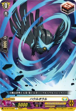 画像1: ハウルオウル