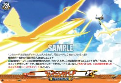 画像1: シャイニングバード