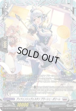 画像1: 【FR】プッツェンシュヴェスタン ブラーシュ・ポリーレ