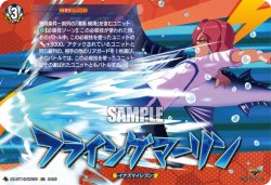 画像1: 【IZR】フライングマーリン