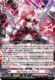 Star＋Liner ビフロンス