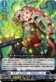 スチームスカラー マカルディット
