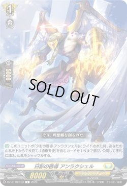 画像1: 日影の啓導 アンラクシェル