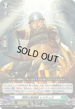 画像1: 洞然の発掘家 レリドック