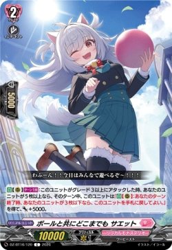 画像1: ボールと共にどこまでも サエット