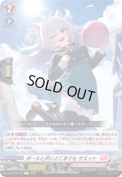画像1: ボールと共にどこまでも サエット
