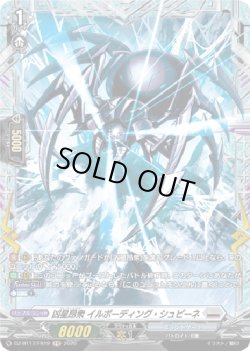 画像1: 【FR】凶星昂衆 イルボーディング・シュピーネ