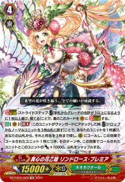 画像1: 真心の花乙姫 リンドロース・プレミア