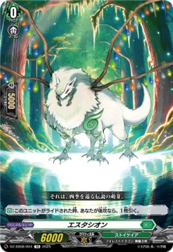画像1: エスタシオン