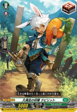 画像1: 【TDR】大満足の収穫 ラビリット