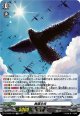 舞羅主疾