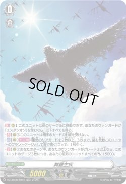 画像1: 【TDR】舞羅主疾