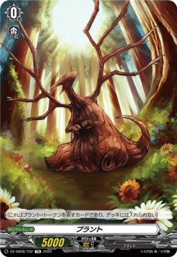 画像1: プラント