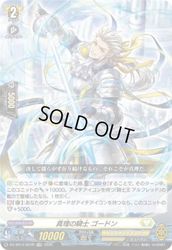 画像1: 【TDR】真理の騎士 ゴードン