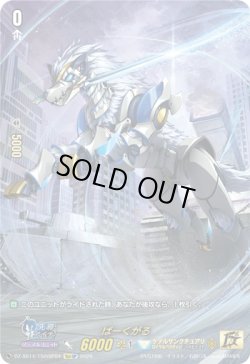 画像1: 【15thSP】ばーくがる