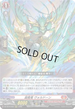 画像1: 旋風竜 ヴォルドーン