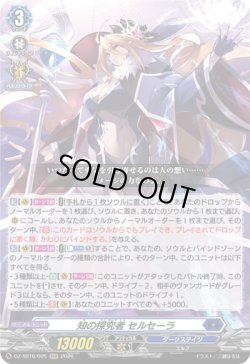 画像1: 知の探究者 セルセーラ