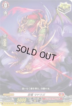 画像1: 忍竜 マドワズ