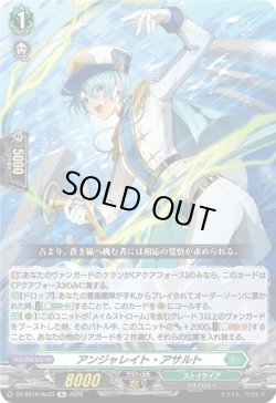 画像1: アンジャレイト・アサルト