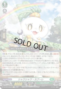 画像1: シャワシャワ・カブーレ
