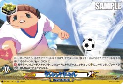 画像1: ダンシングタートル