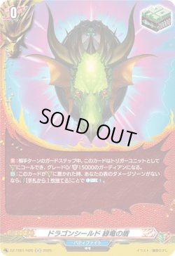 画像1: 【ホロ】ドラゴンシールド 緑竜の盾