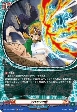 画像1: 【ホロ】ソロモンの盾