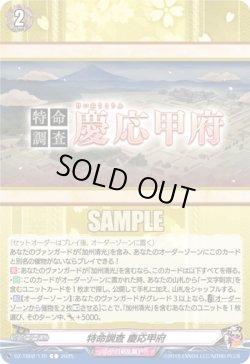 画像1: 特命調査 慶応甲府