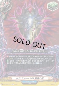 画像1: ドラゴンシールド 黒竜の盾