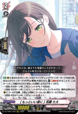 画像1: [もっといい音に] 花園 たえ