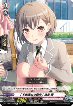 画像1: [不思議な小動物] 高松 燈