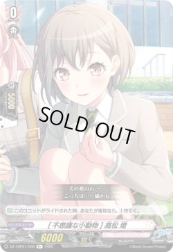 画像1: [不思議な小動物] 高松 燈