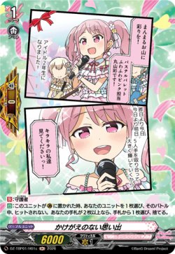 画像1: 【H】かけがえのない思い出(Pastel＊Palettes)