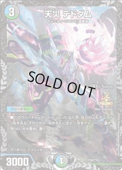 画像1: 天災 デドダム