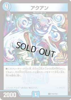 画像1: アクアン