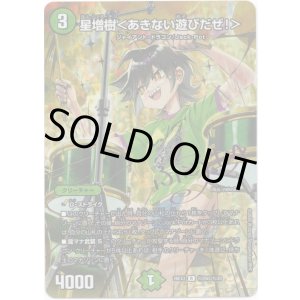 画像: 星増樹<あきない遊びだぜ!>