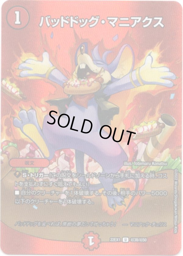 画像1: バッドドッグ・マニアクス