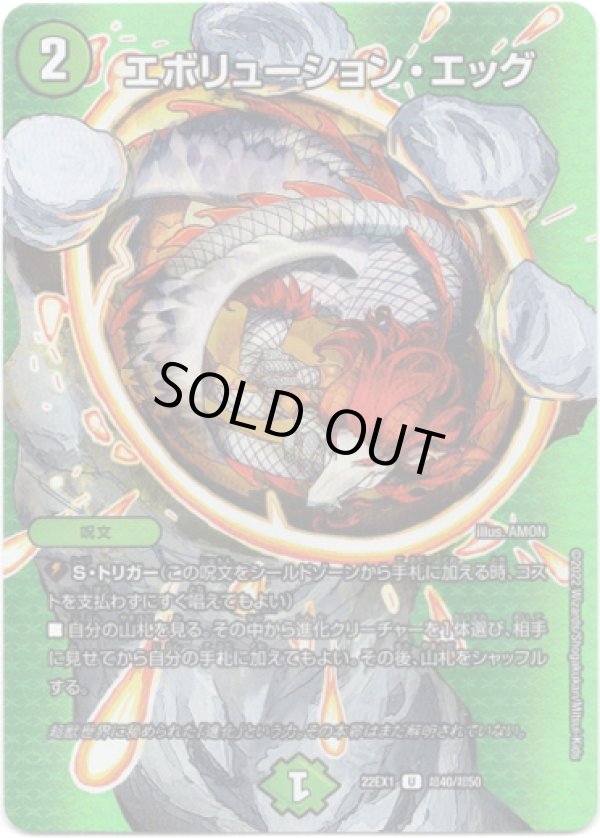 画像1: ※傷有り品（返品交換対象外）エボリューション・エッグ