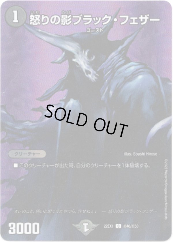 画像1: 怒りの影ブラック・フェザー