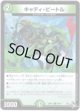 画像: ※傷有り品（返品交換対象外）キャディ・ビートル