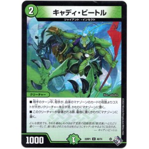 画像: ※傷有り品（返品交換対象外）キャディ・ビートル
