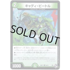 画像: ※傷有り品（返品交換対象外）キャディ・ビートル