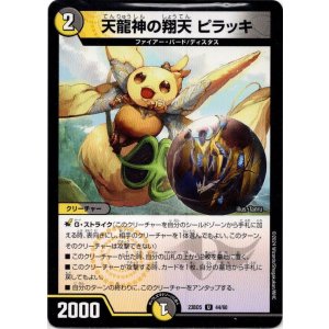 画像: 天龍神の翔天 ピラッキ