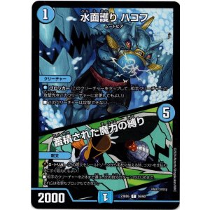 画像: 水面護り ハコフ / 蓄積された魔力の縛り