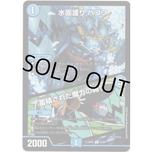 画像: 水面護り ハコフ / 蓄積された魔力の縛り