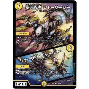 画像: 聖沌忍者 シャーリーシー / シャーリー・チャージャー