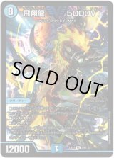 画像: 飛翔龍 5000VT