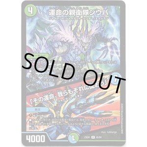画像: 運命の親衛隊シウバ / 「その運命、我らもそれに従おう」