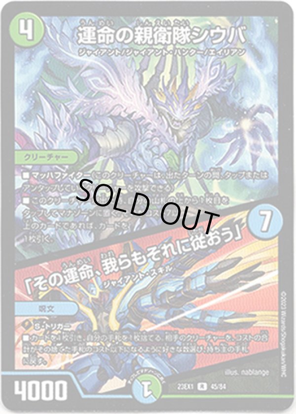 画像1: ※傷有り品（返品交換対象外）運命の親衛隊シウバ / 「その運命、我らもそれに従おう」